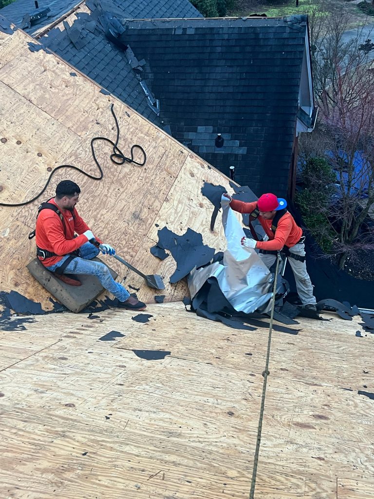 Roofers in safety gear removing old shingles on steep roof with exposed plywood near residential houses. HD Pro Roofing professionals.